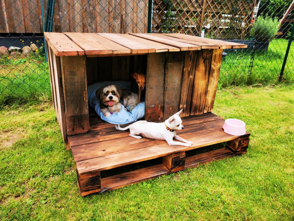 Pallet dog house